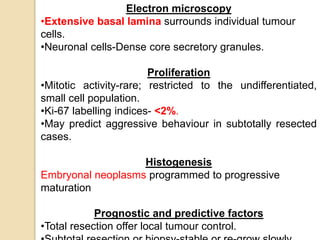 Electron microscopy
•Extensive basal lamina surrounds individual tumour
cells.
•Neuronal cells-Dense core secretory granules.
Proliferation
•Mitotic activity-rare; restricted to the undifferentiated,
small cell population.
•Ki-67 labelling indices- <2%.
•May predict aggressive behaviour in subtotally resected
cases.
Histogenesis
Embryonal neoplasms programmed to progressive
maturation
Prognostic and predictive factors
•Total resection offer local tumour control.
 