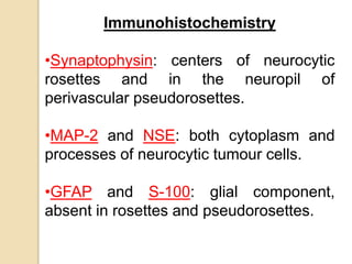 Immunohistochemistry
•Synaptophysin: centers of neurocytic
rosettes and in the neuropil of
perivascular pseudorosettes.
•MAP-2 and NSE: both cytoplasm and
processes of neurocytic tumour cells.
•GFAP and S-100: glial component,
absent in rosettes and pseudorosettes.
 