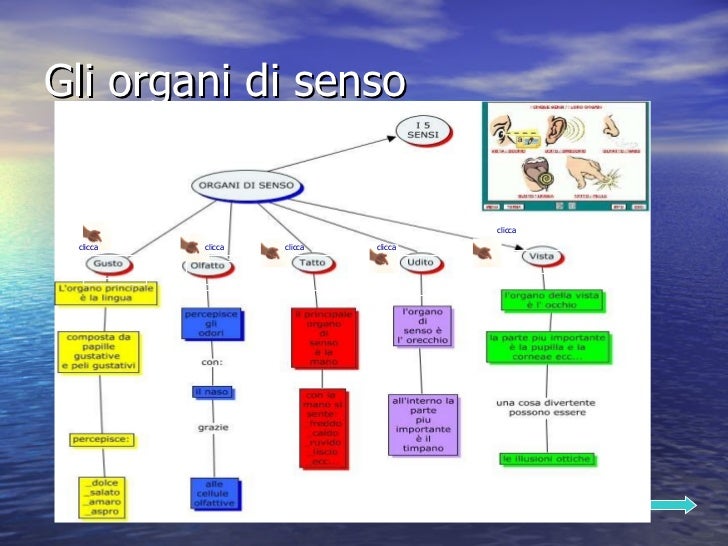 Agli Organi Di Vigilanza Pubblici Spettano