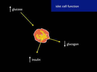 gliptin talk