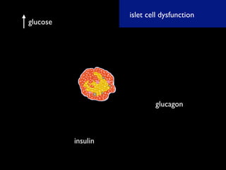 gliptin talk