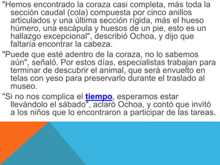 "Hemos encontrado la coraza casi completa, más toda la 
sección caudal (cola) compuesta por cinco anillos 
articulados y una última sección rígida, más el hueso 
húmero, una escápula y huesos de un pie, esto es un 
hallazgo excepcional", describió Ochoa, y dijo que 
faltaría encontrar la cabeza. 
"Puede que esté adentro de la coraza, no lo sabemos 
aún", señaló. Por estos días, especialistas trabajan para 
terminar de descubrir el animal, que será envuelto en 
telas con yeso para preservarlo durante el traslado al 
museo. 
"Si no nos complica el tiempo, esperamos estar 
llevándolo el sábado", aclaró Ochoa, y contó que invitó 
a los niños que lo encontraron a participar de las tareas. 
 