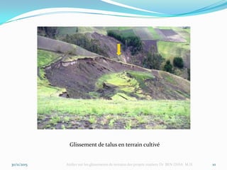 30/11/2015 Atelier sur les glissements de terrains des projets routiers Dr BEN DHIA M.H. 10
Glissement de talus en terrain cultivé
 
