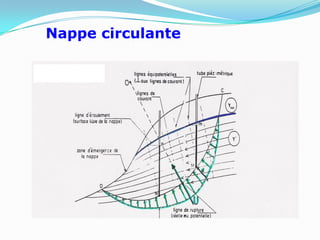 Nappe circulante
 