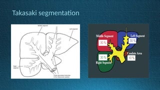 Takasaki segmentation
 