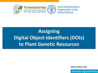 www.fao.org/plant-treaty
Marco Marsella
Assigning
Digital Object Identifiers (DOIs)
to Plant Genetic Resources
 