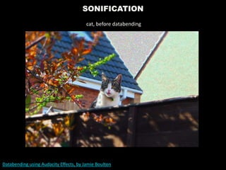 SONIFICATION
Databending using Audacity Effects, by Jamie Boulton
cat, before databending
 