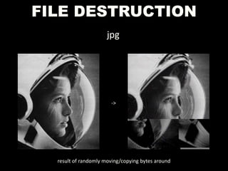 FILE DESTRUCTION
jpg
->
result of randomly moving/copying bytes around
 