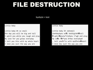 FILE DESTRUCTION
byebyte + text
 
