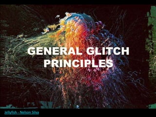 GENERAL GLITCH
PRINCIPLES
Jellyfish - Nelson Silva
 