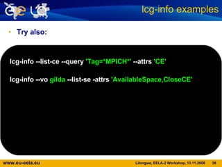 Try also: lcg-info examples lcg-info --list-ce --query  'Tag=*MPICH*'  --attrs  'CE' lcg-info --vo  gilda  --list-se   -attrs  'AvailableSpace,CloseCE' 
