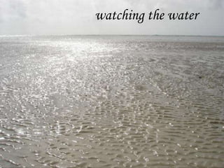 watching the water<br />