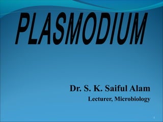 Dr. S. K. Saiful Alam
Lecturer, Microbiology
1
 