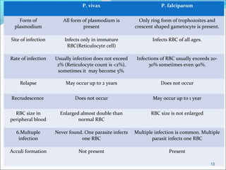 P. vivax P. falciparum
Form of
plasmodium
All form of plasmodium is
present
Only ring form of trophozoites and
crescent shaped gametocyte is present.
Site of infection Infects only in immature
RBC(Reticulocyte cell)
Infects RBC of all ages.
Rate of infection Usually infection does not exceed
2% (Reticulocyte count is <2%),
sometimes it may become 5%.
Infections of RBC usually exceeds 20-
30% sometimes even 90%.
Relapse May occur up to 2 years Does not occur
Recrudescence Does not occur May occur up to 1 year
RBC size in
peripheral blood
Enlarged almost double than
normal RBC
RBC size is not enlarged
6.Multuple
infection
Never found. One parasite infects
one RBC
Multiple infection is common. Multiple
parasit infects one RBC
Acculi formation Not present Present
13
 