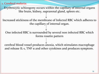 1. Cerebral malaria:
Erythrocytic schizogony occurs within the capillary of internal organs
like brain, kidney, suprarenal gland, spleen etc.
Increased stickiness of the membrane of Infected RBC which adheres to
the capillary of internal organ.
One infected RBC is surrounded by several non infected RBC which
forms rosette pattern
cerebral blood vessel produces anoxia, which stimulates macrophage
and release IL-1, TNF α and other cytokines and produces symptom.
18
 