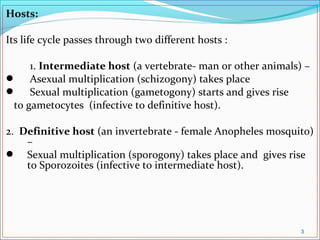 Hosts:
Its life cycle passes through two different hosts :
1. Intermediate host (a vertebrate- man or other animals) –
 Asexual multiplication (schizogony) takes place
 Sexual multiplication (gametogony) starts and gives rise
to gametocytes (infective to definitive host).
2. Definitive host (an invertebrate - female Anopheles mosquito)
–
 Sexual multiplication (sporogony) takes place and gives rise
to Sporozoites (infective to intermediate host).
3
 