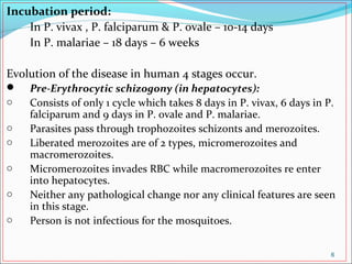 Incubation period:
In P. vivax , P. falciparum & P. ovale – 10-14 days
In P. malariae – 18 days – 6 weeks
Evolution of the disease in human 4 stages occur.
 Pre-Erythrocytic schizogony (in hepatocytes):
o Consists of only 1 cycle which takes 8 days in P. vivax, 6 days in P.
falciparum and 9 days in P. ovale and P. malariae.
o Parasites pass through trophozoites schizonts and merozoites.
o Liberated merozoites are of 2 types, micromerozoites and
macromerozoites.
o Micromerozoites invades RBC while macromerozoites re enter
into hepatocytes.
o Neither any pathological change nor any clinical features are seen
in this stage.
o Person is not infectious for the mosquitoes.
6
 
