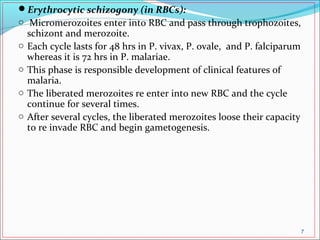 Erythrocytic schizogony (in RBCs):
o Micromerozoites enter into RBC and pass through trophozoites,
schizont and merozoite.
o Each cycle lasts for 48 hrs in P. vivax, P. ovale, and P. falciparum
whereas it is 72 hrs in P. malariae.
o This phase is responsible development of clinical features of
malaria.
o The liberated merozoites re enter into new RBC and the cycle
continue for several times.
o After several cycles, the liberated merozoites loose their capacity
to re invade RBC and begin gametogenesis.
7
 