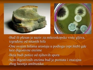 -Buđ ili plesan je naziv za mikroskopske vrste gljiva,
izgrađene od nitastih hifa
-One svojim hifama urastaju u podlogu (npr.hleb) gde
luče digestivne enzime
-Boja buđi potiče od njihovih spora
-Sem digestivnih enzima buđ je poznata i značajna
zbog lučenja antibiotika

 