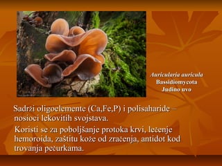 Auricularia auricula
Bassidiomycota
Judino uvo

Sadrži oligoelemente (Ca,Fe,P) i polisaharide –
nosioci lekovitih svojstava.
Koristi se za poboljšanje protoka krvi, lečenje
hemoroida, zaštitu kože od zračenja, antidot kod
trovanja pečurkama.

 