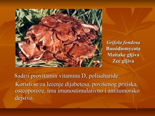 Grifola fondosa
Bassidiomycota
Maitake gljiva
Zec gljiva

Sadrži provitamin vitamina D, polisaharide.
Koristi se za lečenje dijabetesa, povišenog pritiska,
osteoporoze, ima imunostimulativno i antitumorsko
dejstvo.

 