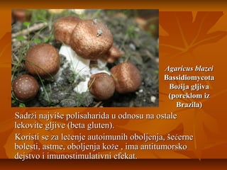 Agaricus blazei
Bassidiomycota
Božija gljiva
(poreklom iz
Brazila)

Sadrži najviše polisaharida u odnosu na ostale
lekovite gljive (beta gluten).
Koristi se za lečenje autoimunih oboljenja, šećerne
bolesti, astme, oboljenja kože , ima antitumorsko
dejstvo i imunostimulativni efekat.

 