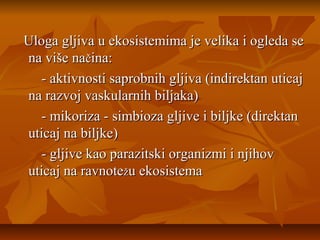 Uloga gljiva u ekosistemima je velika i ogleda se
na više načina:
- aktivnosti saprobnih gljiva (indirektan uticaj
na razvoj vaskularnih biljaka)
- mikoriza - simbioza gljive i biljke (direktan
uticaj na biljke)
- gljive kao parazitski organizmi i njihov
uticaj na ravnotežu ekosistema

 