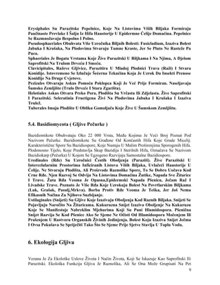 Erysiphales Su Parazitske Pepelnice, Koje Na Listovima Viših Biljaka Formiraju
Paučinaste Prevlake I Šalju Iz Hifa Haustorije U Epidermne Ćelije Domaćina. Pepelnice
Se Razmnožavaju Bespolno I Polno.
Pseudosphaeriales Obuhvata Više Uzročnika Biljnih Bolesti: Fusicladium, Izaziva Bolest
Jabuka I Krušaka, Na Plodovima Stvaraju Tamne Kraste, Jer Se Pluto Ne Rasteže Pa
Puca.
Sphaeriales Je Bogata Vrstama Koje Žive Parazitski U Biljkama I Na Njima, A Djelom
Saprofitski Na Trulom Drveću I Smeću.
Clavicipitales, Raževe Gljivice, Parazitira U Mladoj Plodnici Trava (Raži) I Stvara
Konidije. Istovremeno Se Izlučuje Šećerna Tekućina Koja Je Uzrok Da Insekti Prenose
Konidije Na Druge Cvjetove.
Pezizales Otvaraju Askus Pomoću Poklopca Koji Je Već Prije Formiran. Naseljavaju
Šumsko Zemljište (Trulo Drveće I Stara Zgarišta).
Helotiales Askus Otvara Preko Pora, Plodišta Su Vrčasta Ili Zdjelasta. Žive Saprofitski
I Parazitski. Seleratinia Fructigena Živi Na Plodovima Jabuka I Krušaka I Izaziva
Trulež.
Tuberales Imaju Plodište U Obliku Gomoljača Koje Žive U Šumskom Zemljištu.
5.4. Basidiomycota ( Gljive Pečurke )
Bazidiomikote Obuhvataju Oko 22 000 Vrsta, Među Kojima Je Veći Broj Poznat Pod
Nazivom Pečurke. Bazidiomikote Su Građene Od Končastih Hifa Koje Grade Micelij.
Karakteristične Spore Su Bazidiospore, Koje Nastaju U Malim Proširenjima Sporogenih Hifa.
Plodonosno Tijelo, Koje Predstavlja Skup Bazidija I Sterilnih Hifa, Označava Se Nazivom
Bazidiokarp (Pečurka) U Kojem Se Egzogeno Razvijaju Samostalne Bazidiospore.
Uredinales (Rđe) Su Uzročnici Čestih Oboljenja (Paraziti). Žive Parazitski U
Intercelularnim Prostorima Inficiranih Listova Viših Biljaka, Uvlačeći Haustorije U
Ćelije. Ne Stvaraju Plodišta, Ali Proizvode Raznolike Spore, To Se Dobro Uočava Kod
Crne Rđe. Njen Razvoj Se Odvija Na Listovima Domaćina Žutike, Napada Sve Žitarice
I Trave. Žuta Rđa Veoma Je Opasna,Epidermski Napada Pšenicu, Ječam Raž I
Livadske Trave. Poznato Je Više Rđa Koje Uzrokuju Bolest Na Povrtlarskim Biljkama
(Luk, Grašak, Pasulj,Mrkva). Borba Protiv Rđe Veoma Je Teška, Jer Još Nema
Efikasnih Načina Za Njihovo Suzbijanje.
Ustilaginales (Snijeti) Su Gljive Koje Izazivaju Oboljenja Kod Raznih Biljaka. Snijeti Se
Pojavljuju Naročito Na Žitaricama. Kukuruzna Snijet Izaziva Oboljenje Na Kukuruzu
Koje Se Manifestuje Nabreklim Mjehurima Koji Su Puni Hlamidospora. Pšenična
Snijet Razvija Se Kod Pšenice Ako Se Sjeme Ne Očisti Od Hlamidospora Močenjem Ili
Prašenjem U Rastvoru Organskih Živinih Jedinjenja. Bolest Koju Izaziva Snijet Ječma
I Ovsa Pokušava Se Spriječiti Tako Što Se Sjeme Prije Sjetve Stavlja U Toplu Vodu.
6. Ekologija Gljiva
Vezana Je Za Ekološke Uslove Života I Način Života, Koji Se Iskazuje Kao Saprofitski Ili
Parazitski. Ekološka Funkcija Gljiva Je Raznolika, Ali Se Ona Može Grupisati Na Pet
9
 