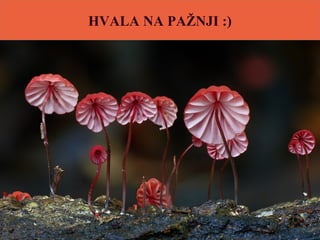 HVALA NA PAŽNJI :)
 