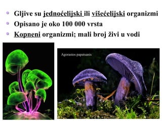 Gljive su jednoćelijski ili višećelijski organizmi
Opisano je oko 100 000 vrsta
Kopneni organizmi; mali broj živi u vodi
Agorastos papatsanis
 