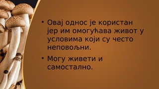 
Овај однос је користан
јер им омогућава живот у
условима који су често
неповољни.

Могу живети и
самостално.
 