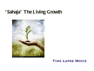 “ Sahaja” The Living Growth Time Lapse Movie 