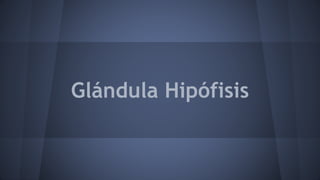 Glándula Hipófisis
 