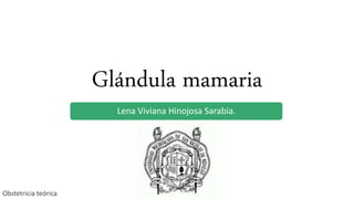 Glándula mamaria
Lena Viviana Hinojosa Sarabia.
Obstetricia teórica.
 
