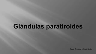 Glándulas paratiroides
David Enrique López Bello
 