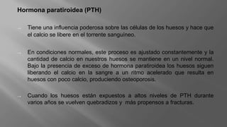 Hormona paratiroidea (PTH)
→ Tiene una influencia poderosa sobre las células de los huesos y hace que
el calcio se libere en el torrente sanguíneo.
→ En condiciones normales, este proceso es ajustado constantemente y la
cantidad de calcio en nuestros huesos se mantiene en un nivel normal.
Bajo la presencia de exceso de hormona paratiroidea los huesos siguen
liberando el calcio en la sangre a un ritmo acelerado que resulta en
huesos con poco calcio, produciendo osteoporosis.
→ Cuando los huesos están expuestos a altos niveles de PTH durante
varios años se vuelven quebradizos y más propensos a fracturas.
 