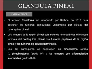 GLÁNDULA PINEAL
ENFERMEDADES

• El término Pinealoma fue introducido por Krabbel en 1916 para
designar los tumores compuestos únicamente por células del
parénquima pineal.
• Los tumores de la región pineal son lesiones heterogéneas e incluyen

tumores del parénquima pineal, los tumores papilares de la región
pineal y los tumores de células germinales.
• Los

del

parénquima

se

subdividen

en

pineocitoma

(grado

I), pineoblastoma (grado IV) y los tumores con diferenciación
intermedia ( grados II-III).

 