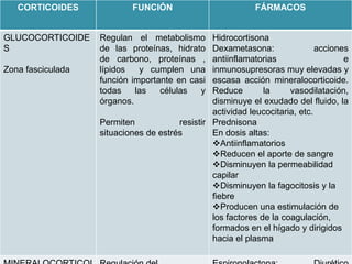 HIDROCOIRTINSONAInduce profundos y rápidos cambios en el metabolismo: protege los niveles de glucosa mediante inducción de glucogenosíntesis, promueve la gluconeogénesis a partir de las proteínas; facilita lipolisis. Tiene la capacidad de suprimir las manifestaciones inflamatoriasEl proceso de metabolización se realiza en el hígado y otros tejidos por reducción del doble enlace 4, 5 generando compuestos inactivos, en tanto la reducción del grupo 3–cetona es sólo hepática.  Los compuestos resultantes son conjugados con sulfatos y glucorónido mediante reaccioneslevadas a cabo en hígado y en menor proporción en riñón para excretarse por la orina.Dosis: Puede ser administrado I.M., I.V. o en infusión en casos de urgencia. La dosis inicial es de 100 a 500 mg, dependiendo de la gravedad del caso, esta dosis puede ser repetida a intervalos de 2, 4 o 6 hora