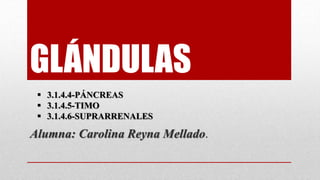 GLÁNDULAS
Alumna: Carolina Reyna Mellado.
 3.1.4.4-PÁNCREAS
 3.1.4.5-TIMO
 3.1.4.6-SUPRARRENALES
 