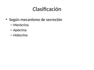 Tejido Epitelial Glandular. Glándulas. Epitelio Glandular | PPTX