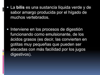  La bilis es una sustancia líquida verde y de
sabor amargo producida por el hígado de
muchos vertebrados.
 Interviene en los procesos de digestión
funcionando como emulsionante, de los
ácidos grasos (es decir, las convierten en
gotitas muy pequeñas que pueden ser
atacadas con más facilidad por los jugos
digestivos).
 