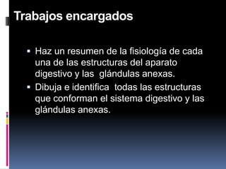 Trabajos encargados
 Haz un resumen de la fisiología de cada
una de las estructuras del aparato
digestivo y las glándulas anexas.
 Dibuja e identifica todas las estructuras
que conforman el sistema digestivo y las
glándulas anexas.
 