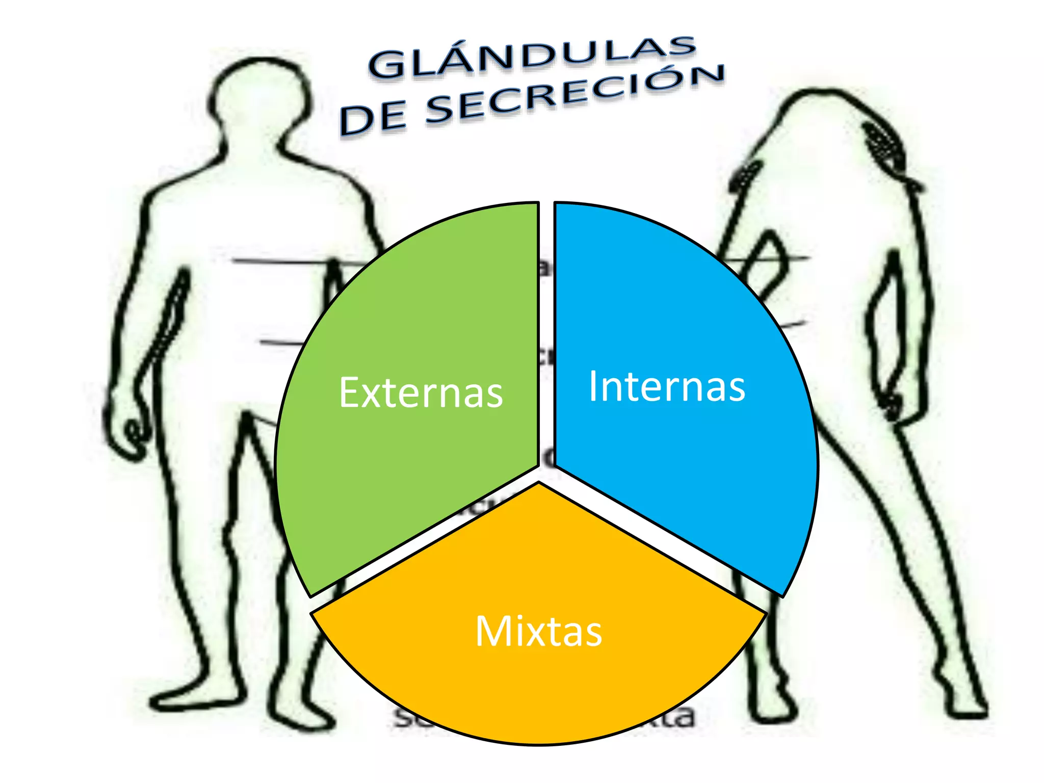 Internas
Mixtas
Externas