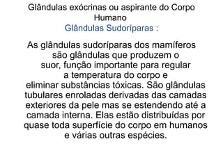 Glândulas exócrinas ou aspirante do Corpo
Humano
Glândulas Sudoríparas :
As glândulas sudoríparas dos mamíferos
são glândulas que produzem o
suor, função importante para regular
a temperatura do corpo e
eliminar substâncias tóxicas. São glândulas
tubulares enroladas derivadas das camadas
exteriores da pele mas se estendendo até a
camada interna. Elas estão distribuídas por
quase toda superfície do corpo em humanos
e várias outras espécies.
 