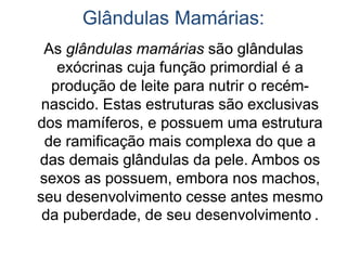 Glândulas Mamárias:
As glândulas mamárias são glândulas
exócrinas cuja função primordial é a
produção de leite para nutrir o recém-
nascido. Estas estruturas são exclusivas
dos mamíferos, e possuem uma estrutura
de ramificação mais complexa do que a
das demais glândulas da pele. Ambos os
sexos as possuem, embora nos machos,
seu desenvolvimento cesse antes mesmo
da puberdade, de seu desenvolvimento .
 