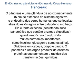 Endócrinas ou glândulas endócrinas do Corpo Humano:
Pâncreas:
O pâncreas é uma glândula de aproximadamente
15 cm de extensão do sistema digestivo
e endócrino dos seres humanos que se localiza
atrás do estômago e entre o duodeno e o baço.
Ele é tanto exócrino (secretando suco
pancreático que contém enzimas digestivas)
quanto endócrino (produzindo
muitos hormônios importantes,
como insulina, glucagon e somatostatina).
Divide-se em cabeça, corpo e cauda. O
pâncreas é um órgão produtor de enzimas,
proteínas que aumentam a rapidez das
transformações químicas.
 