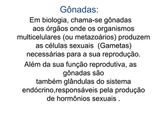 Gônadas:
Em biologia, chama-se gônadas
aos órgãos onde os organismos
multicelulares (ou metazoários) produzem
as células sexuais (Gametas)
necessárias para a sua reprodução.
Além da sua função reprodutiva, as
gônadas são
também glândulas do sistema
endócrino,responsáveis pela produção
de hormônios sexuais .
 