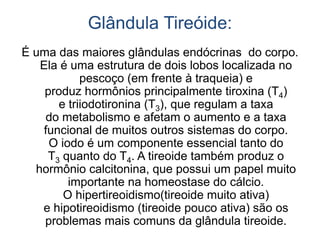 Glândula Tireóide:
É uma das maiores glândulas endócrinas do corpo.
Ela é uma estrutura de dois lobos localizada no
pescoço (em frente à traqueia) e
produz hormônios principalmente tiroxina (T4)
e triiodotironina (T3), que regulam a taxa
do metabolismo e afetam o aumento e a taxa
funcional de muitos outros sistemas do corpo.
O iodo é um componente essencial tanto do
T3 quanto do T4. A tireoide também produz o
hormônio calcitonina, que possui um papel muito
importante na homeostase do cálcio.
O hipertireoidismo(tireoide muito ativa)
e hipotireoidismo (tireoide pouco ativa) são os
problemas mais comuns da glândula tireoide.
 