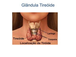 Glândula Tireóide
 