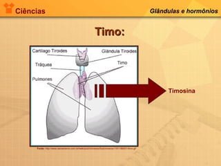 Ciências Glândulas e hormônios
Timo:Timo:
Fonte: http://www.xamanismo.com.br/twiki/pub/Universo/SubUniverso1191188251/timo.gif
Timosina
 